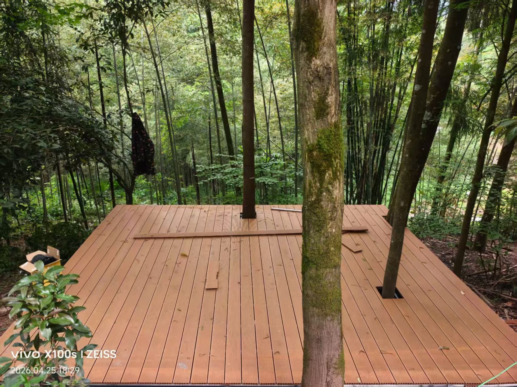 竹林景观木塑地板铺装案例
